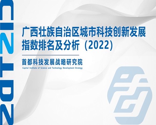 免费操B片【成果发布】广西壮族自治区城市科技创新发展指数排名及分析（2022）